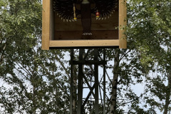 Gross-2025-06-08_Schuetzenfest_Sonntag_TB_00008