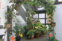 2018-08-08_Seniorenfahrt_Ahrweiler_FS_090